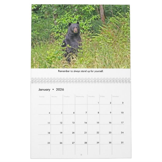 Life Lessons Animal Calendar カレンダー (1月 2026)