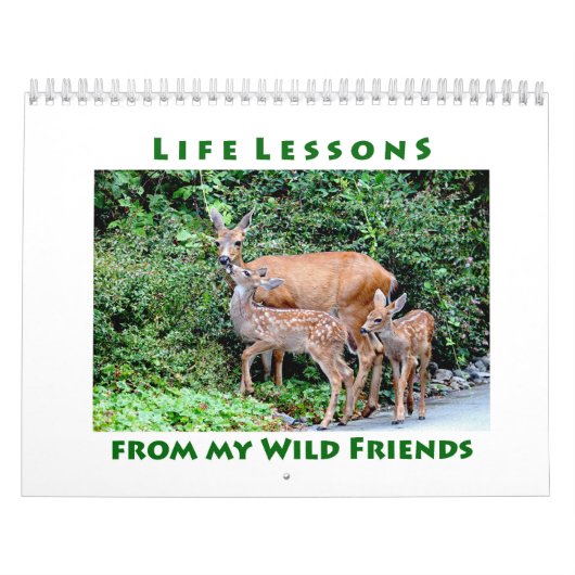 Life Lessons Animal Calendar カレンダー (カバー)