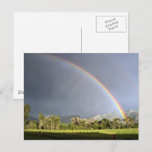 Life on the Blackman Ranch ポストカード (正面/裏面)