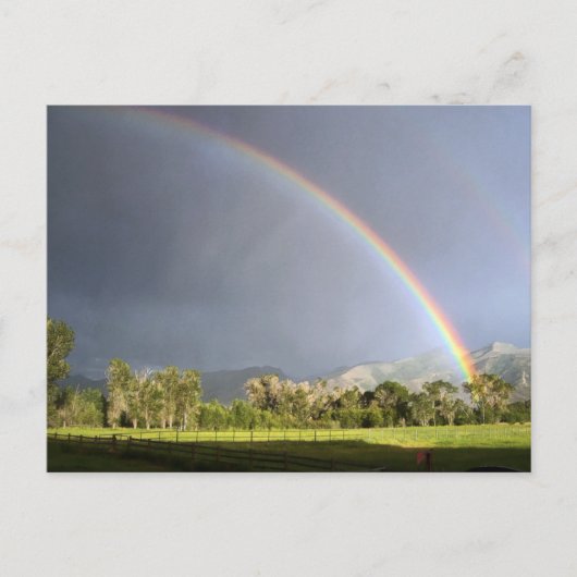 Life on the Blackman Ranch ポストカード (正面)