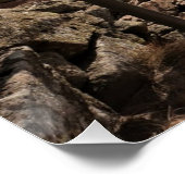 Life's path.Glossy Poster ポスター (コーナー)