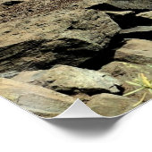 Life's path. Poster ポスター (コーナー)