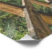 Life's path. Poster ポスター (コーナー)