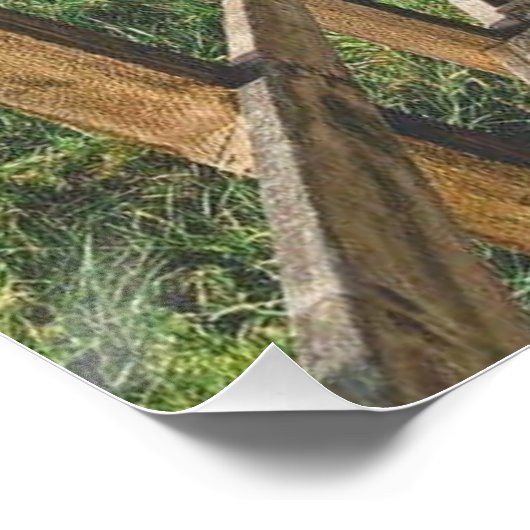 Life's path. Poster ポスター (コーナー)