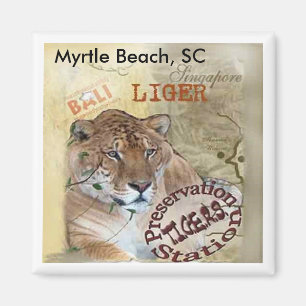 Ligerの磁石- Myrtle Beach、SC マグネット