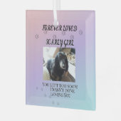 Light Beyond the Rainbow Tribute ガラスオーナメント (正面左)