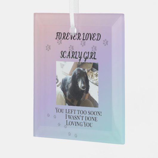 Light Beyond the Rainbow Tribute ガラスオーナメント (正面左)