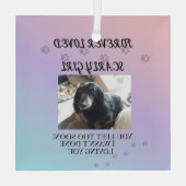 Light Beyond the Rainbow Tribute ガラスオーナメント (裏面)