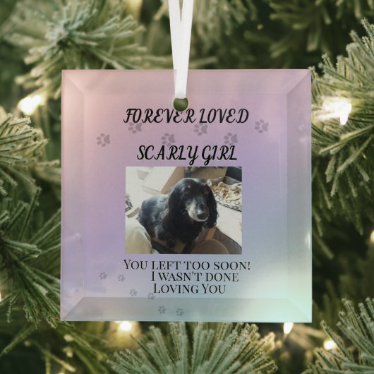 Light Beyond the Rainbow Tribute ガラスオーナメント (インサイチュ)