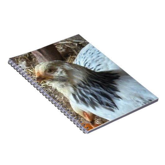 Light Brahma CHicken Notebook ノートブック (右側)