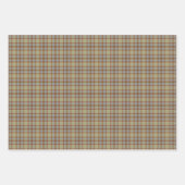 Light Green Blue Brown Plaid Tartan ラッピングペーパーシート (正面)