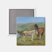 Light Grey Horse in a Field (Equine Farm Animal) マグネット (正面/裏面)