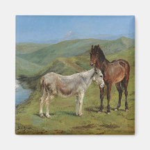 Light Grey Horse in a Field (Equine Farm Animal)