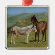 Light Grey Horse in a Field (Equine Farm Animal)