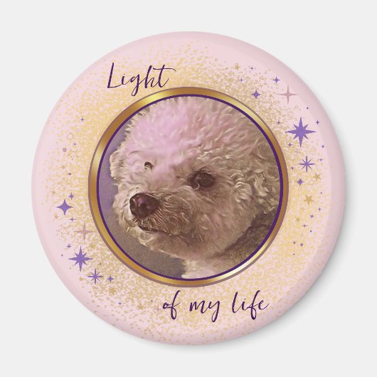 Light of My Life Magnet マグネット (正面)