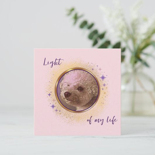 Light of My Light Card (スタンド正面)