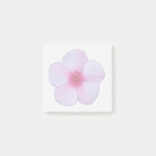 Light Pink Phlox Sticky Notes ポストイット (正面)
