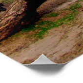 lighthouse in Port Isabel, Tx. ポスター (角)