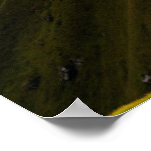 Lighthouses | Faroe Islands Denmark ポスター (角)