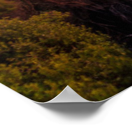 Lighthouses | Lighthouse Cape Brett New Zealand ポスター (角)