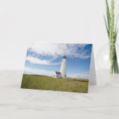 Lighthouses | Lighthouse Massachusetts カード (正面)