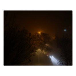 Lights in the Fog ポスター