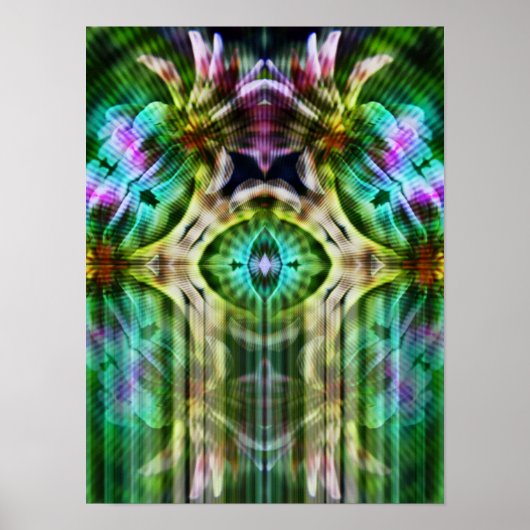 LightSpiritaポスター ポスター (正面)