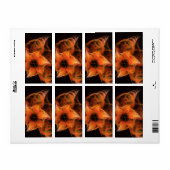 Lightworks抽象芸術アートフラクタル ラベル (フルシート)