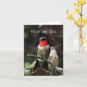 Lilのハチドリの男性の挨拶かnotecard-customiz カード (黄色い花)