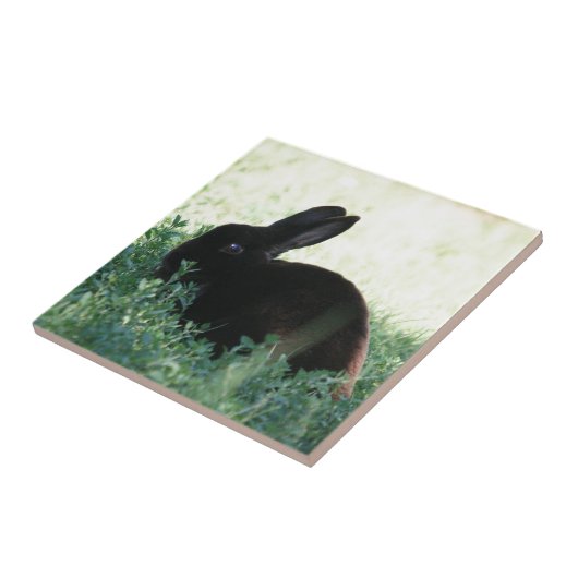 Lilの黒いバニー タイル (側面)