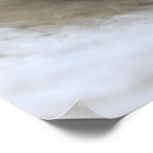 Lil Black Kittenポスター ポスター (角)