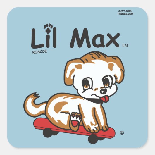 Lil Maxステッカー スクエアシール (正面)