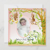 Lil Monkey, Girl Birth Announcement 招待状 (裏面)