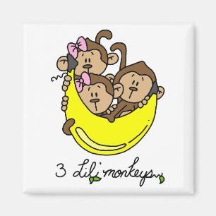 Li'l Monkey Tシャツ3枚/ギフト マグネット