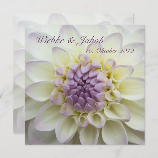 Lila Dahlie • Hochzeits-Einladung 招待状 (正面/裏面)