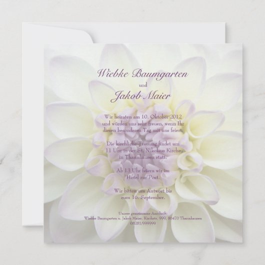 Lila Dahlie • Hochzeits-Einladung 招待状 (裏面)