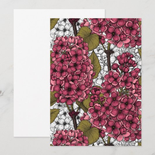 Lilac (正面/裏面)