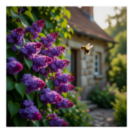 Lilac Flower ポスター