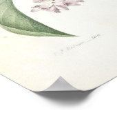 Lilac or Lilas ポスター (角)