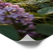 Lilac Rabbit Morning Meadow ポスター (角)