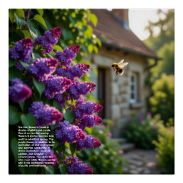 Lilac Symbolism ポスター