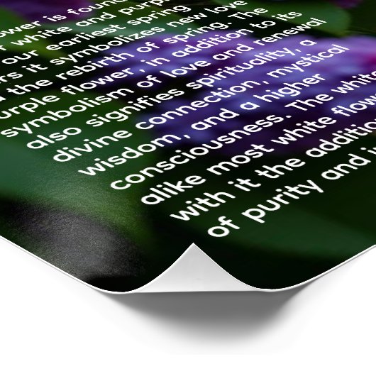 Lilac Symbolism ポスター (コーナー)