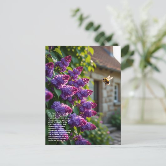 Lilac Symbolism ポストカード (スタンド正面)