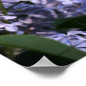 Lilac Vision Print ポスター (角)