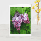 Lilacsグリーティングカード カード (黄色い花)
