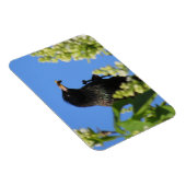 Lilacsマグネットでスターリング マグネット (右側)