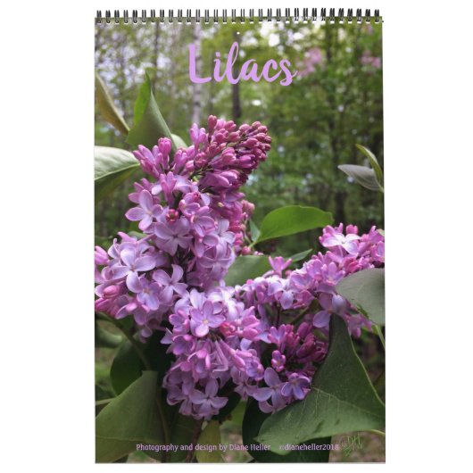 Lilacs---ALL LILACS!!フォトカレンダー カレンダー (カバー)