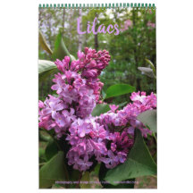 Lilacs---ALL LILACS!!フォトカレンダー