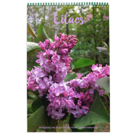 Lilacs---ALL LILACS!!フォトカレンダー カレンダー