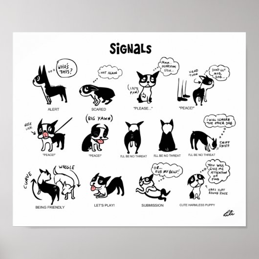 Lili Chinによるブギーシグナル ポスター (正面)